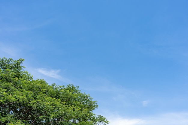 Ein blauer Himmel mit Wolken