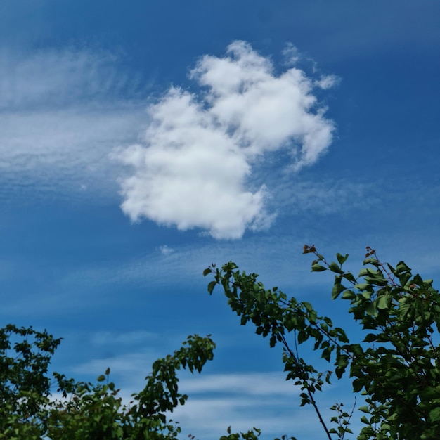 Ein blauer Himmel mit Wolken