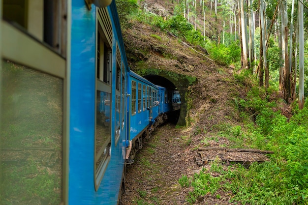 Ein blauer Personenzug fährt durch den Dschungel von Sri Lanka