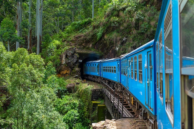 Ein blauer Personenzug fährt durch den Dschungel von Sri Lanka