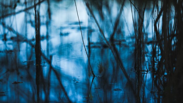 Ein blauer Teich mit Wasser und Gras im Vordergrund.