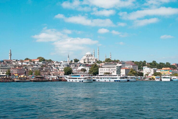 Ein Blick auf das Stadtbild von Istanbul, den Bosporus und die Süleymaniye-Moschee von einer Brücke aus