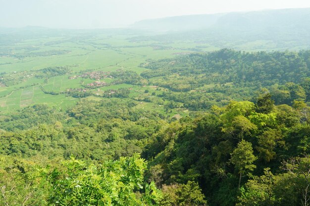 Foto ein blick auf das tal von der spitze des berges