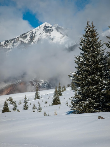 Ein Blick auf die Berge in der Nähe von Ouray, Colorado.