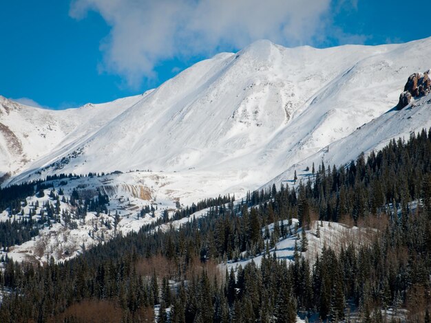 Ein Blick auf die Berge in der Nähe von Ouray, Colorado.