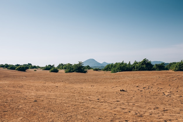 Ein Blick auf die Dünen