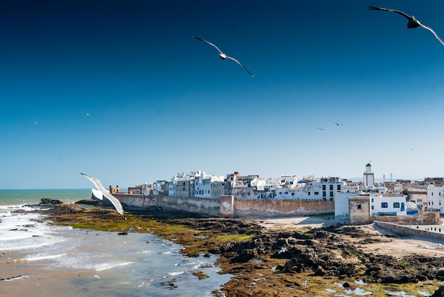 Ein Blick auf die Medina von Essaouira und ihre Stadtmauern mit Blick auf das Meer