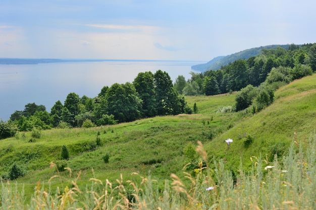 Ein Blick auf die Wolga von der Spitze eines grünen Hügels mit Bäumen und Tal