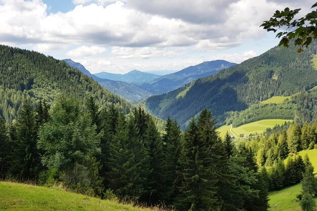 Ein Blick auf ein Tal mit Bergen im Hintergrund