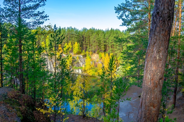 Ein Blick auf einen Wald mit einem Wasserfall im Hintergrund