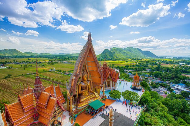 Ein Blick von der Spitze der goldenen Buddha-Statue der Pagode mit Reisfeldern und Berg