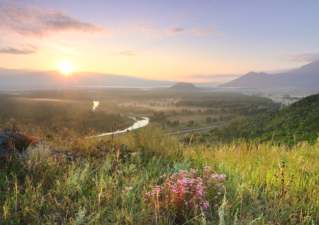 Ein blühender Berghang über dem Katun-Tal, die Sonne über dem Horizont unter goldblauem Himmel im Altai-Gebirge. Sibirien, Russland