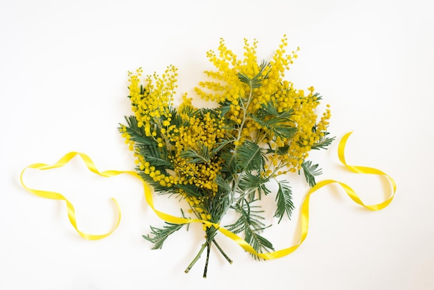 Ein Blumenstrauß aus Mimosen auf weißem Hintergrund Ostern das Konzept des Frauentages