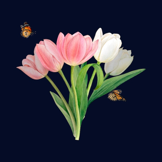 Ein Blumenstrauß aus weißen und rosafarbenen Tulpen, handgezeichnete Aquarellillustration Zwei Schmetterlinge