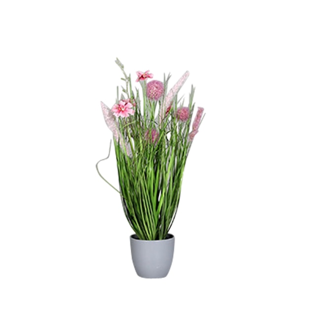ein Blumentopf mit dem Wort Tulpen darauf