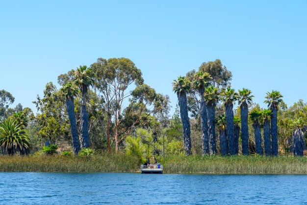 Ein Boot im Wasser mit Palmen im Hintergrund