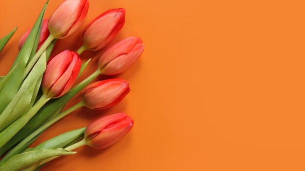 Ein Bouquet aus roten Tulpen liegt auf einem orangefarbenen Hintergrund.