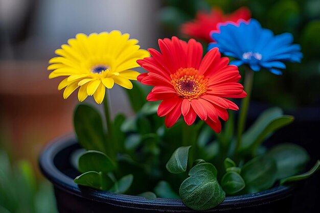 Ein Bouquet aus wunderschönen Gerberas in einem von KI erzeugten Behälter