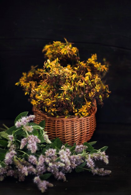 Ein Bouquet von Heilkräutern auf schwarzem Holzhintergrund - blühende Minze und Johanniskraut.