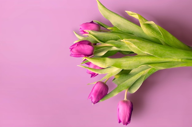 Ein Bouquet von wunderschönen Tulpen auf einem hölzernen Hintergrund Tulpen auf alten Brettern