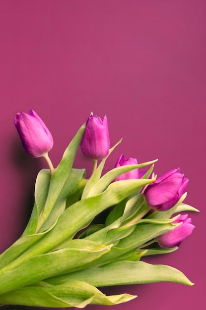 Ein Bouquet von wunderschönen Tulpen auf einem hölzernen Hintergrund Tulpen auf alten Brettern