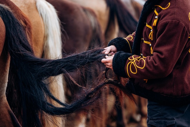 Foto ein bräutigam kämmt den schwanz seines pferdes