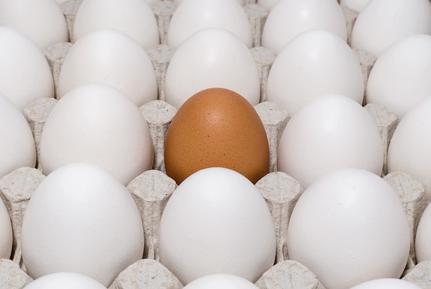 Ein braunes Hühnerei in einem Tablett mit weißen Eiern