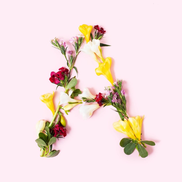 Ein Brief aus natürlichen Blütenblättern und Blättern Blumen Schriftkonzept Sammlung von Buchstaben