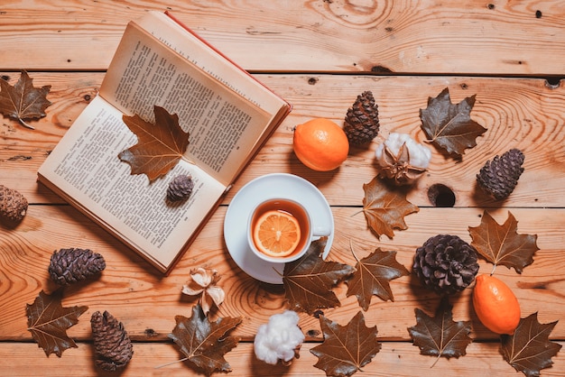 Ein Buch lesen an einem gemütlichen Herbsttag kalter Herbstmorgen mit Tasse Kaffee und Buch Herbst Herbstwoche...