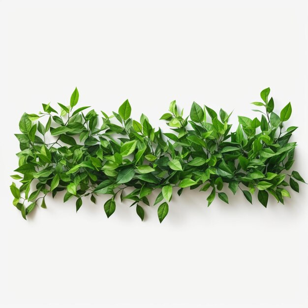 Ein Bündel grüner Pflanzen hängt an einer Wand im Hintergrund