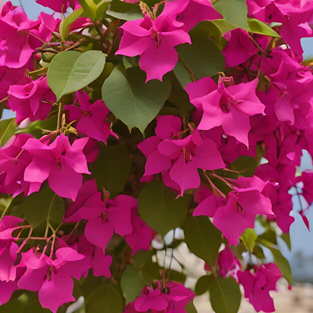 Foto ein bündel rosa blumen, die draußen sind