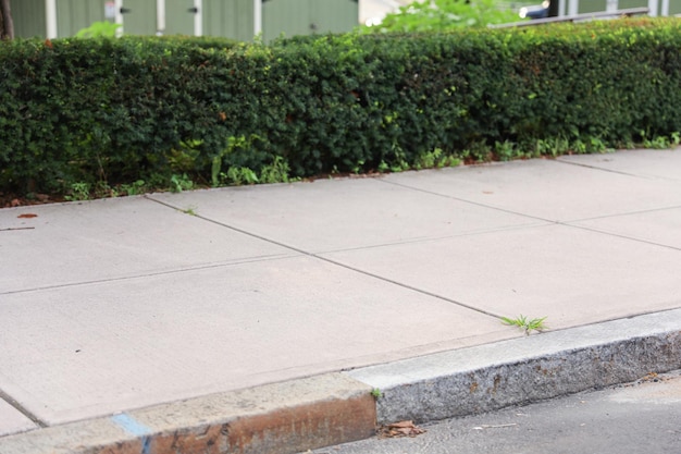 Ein Bürgersteig mit einer grünen Hecke und einem grünen Haus im Hintergrund