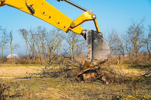 Ein Bulldozer-Eimer zieht einen Baumstumpf heraus