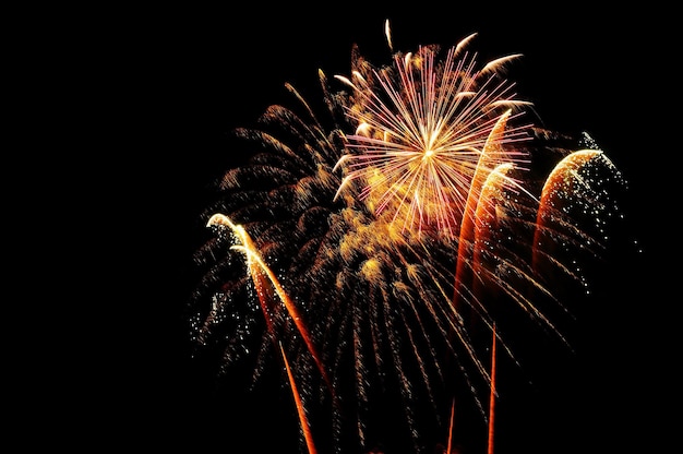 Ein buntes Feuerwerk explodiert am Nachthimmel.