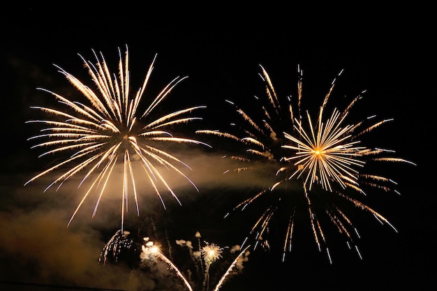 Ein buntes Feuerwerk explodiert am Nachthimmel.