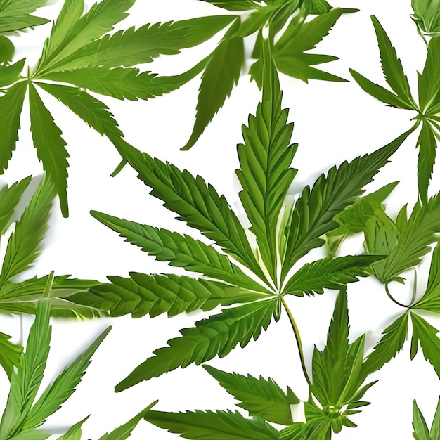 Ein Cannabis-Bild für Cannabis-Trends