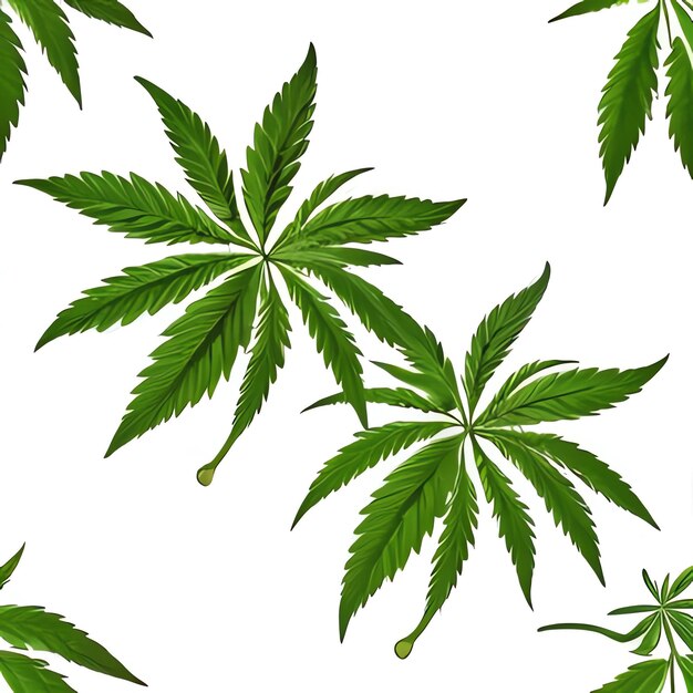 Ein Cannabis-Bild für Cannabisgesetze