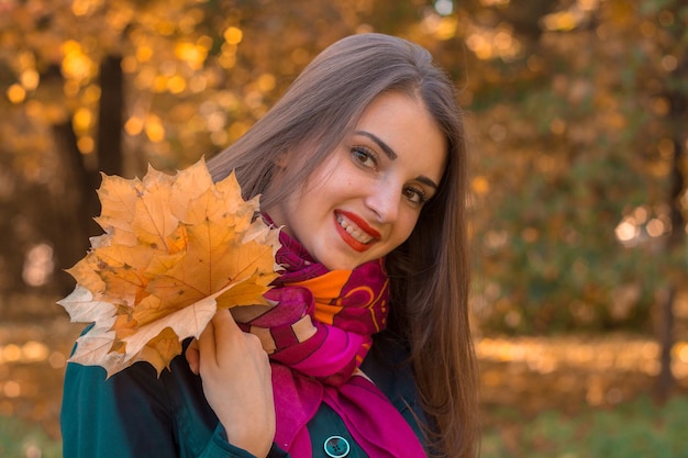 Ein charmantes junges Mädchen im Herbst Park lächelt und hält ein Ahornblatt in der Hand, Nahaufnahme