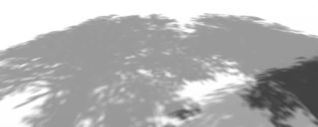 ein computergeneriertes Bild eines Baumes, durch das die Sonne scheint