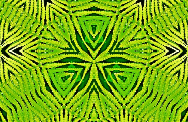 Ein dekoratives digitales Kaleidoskop-mit Blumenmuster