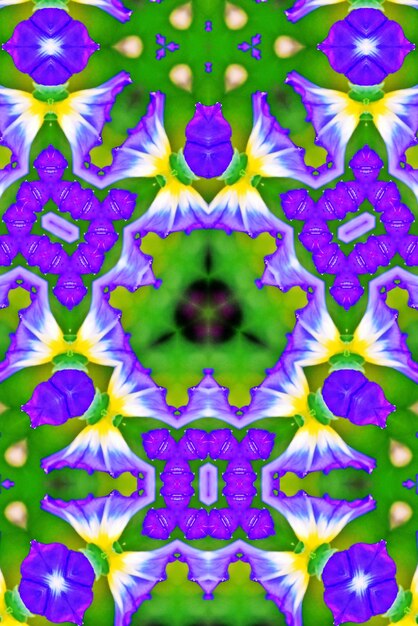 Ein dekoratives digitales Kaleidoskop-mit Blumenmuster