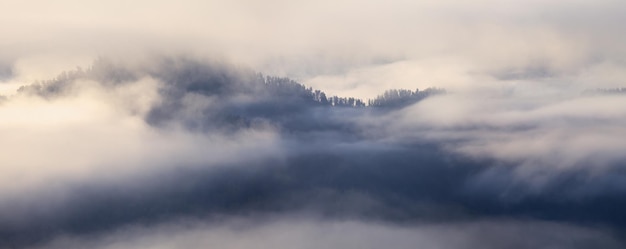 Ein dichter Nebel bedeckte die Berge mit einem Bannerhintergrund von oben