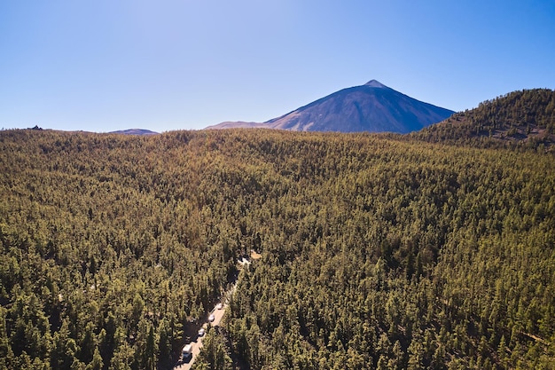 Ein dichter Wald mit einer Straße in den Bergen und Blick auf den Vulkan Teide in Spanien