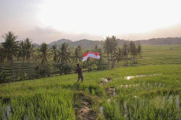 ein dorfjunge schwenkt die indonesische flagge inmitten eines grünen reisfeldes