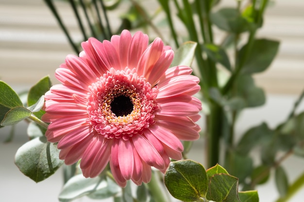 Ein einfacher Strauß aus rosa Gerbera und Grün.