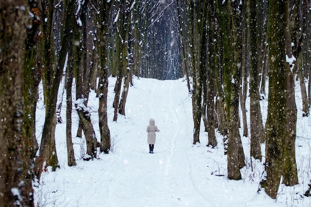 Ein einsames Mädchen geht im Winter während eines Schneefalls im Park spazieren