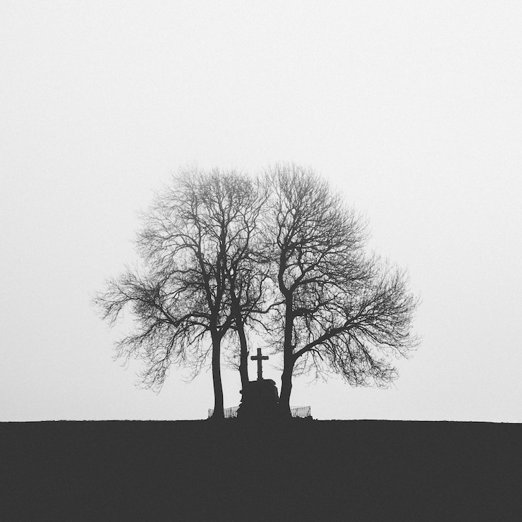 Foto ein einziger baum gegen den himmel