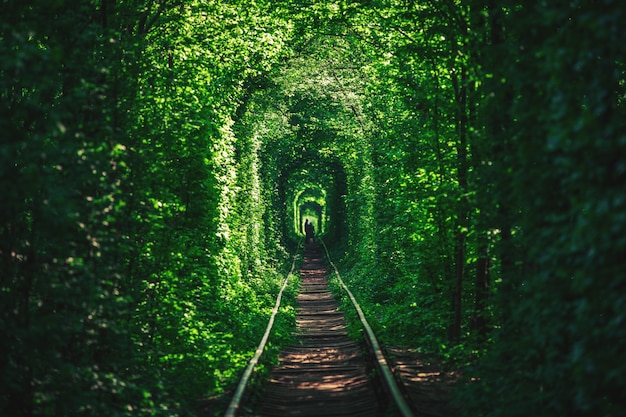 Ein Eisenbahntunnel im Frühjahr Wald der Liebe