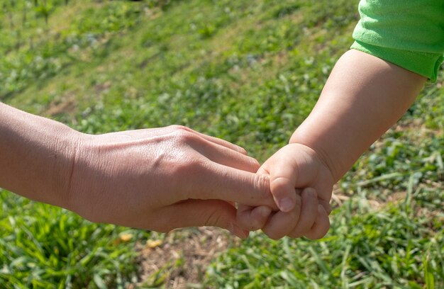 Ein Elternteil hält die Hand eines kleinen Kindes. Das Kind hält die Hand seiner Mutter. Das Konzept des Kindertages. Kindertag, Muttertag