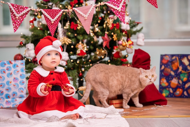 Ein entzückendes Kind, das als Weihnachtsmann verkleidet ist, spielt in der Nähe eines geschmückten Weihnachtsbaums im Wohnzimmer. Eine Katze läuft um die Geschenke herum.